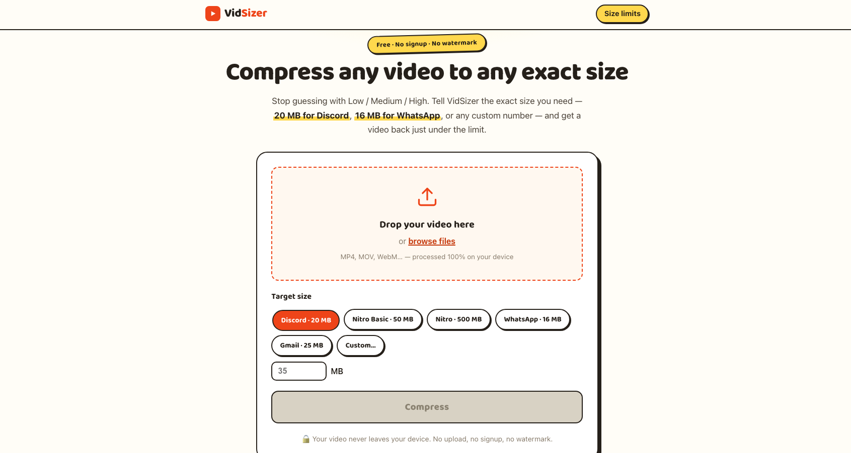VidSizer screenshot 1
